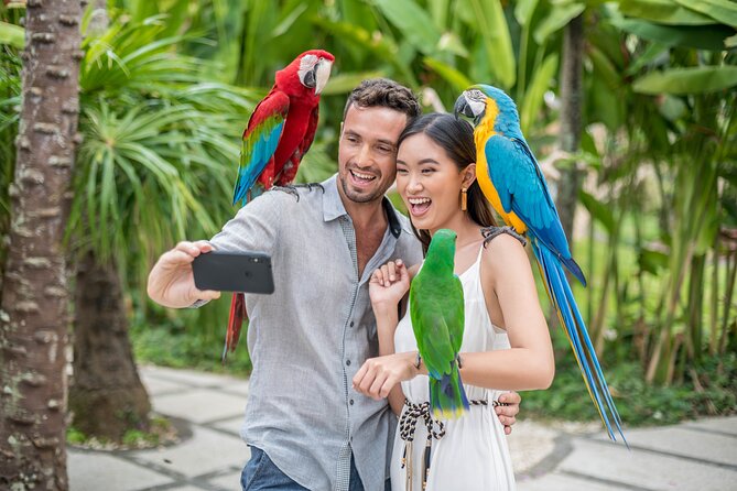 Bali Bird Park Admission Ticket - Who Bali Bird Park tickets are best for
