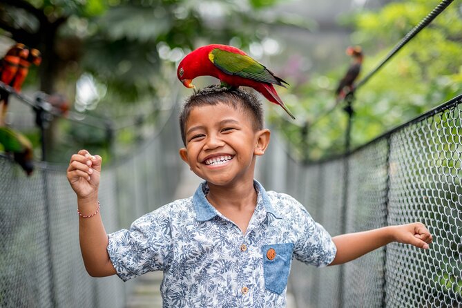 Bali Bird Park Admission Ticket - Entering the park in Ubud, and planning your time