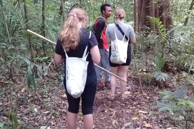 Bali Blue Lagoon Snorkeling and Waterfall Day Tour with Lunch - Tanjung Jepun: Calmer-Water Snorkeling That Works for Starters