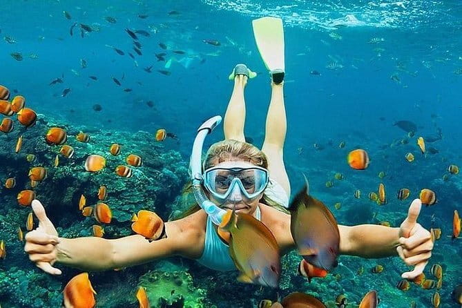Bali : Blue Lagoon Snorkeling combine with Bali Swing in Ubud - Pickup and timing: how the 8-hour rhythm feels