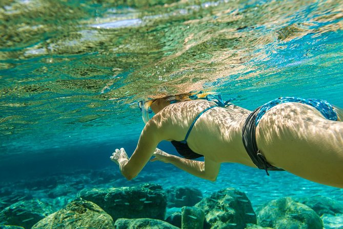 Bali Blue Lagoon Snorkeling Experience - Marine life chances, what to watch for