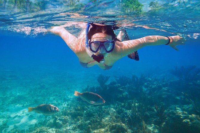 Bali Blue Lagoon Snorkeling Experience - The people factor: drivers and guides named for a reason