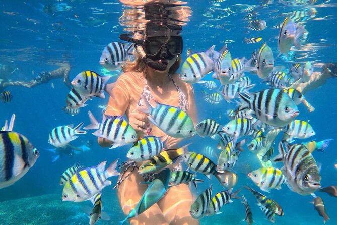Bali Blue Lagoon Snorkeling - Lunch and Transport All Inclusive - Key points to know before you go