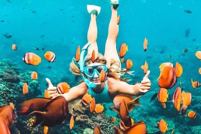 Bali Blue Lagoon Snorkeling - Lunch and Transport All Inclusive - Pickup and transportation: the real value in a private format