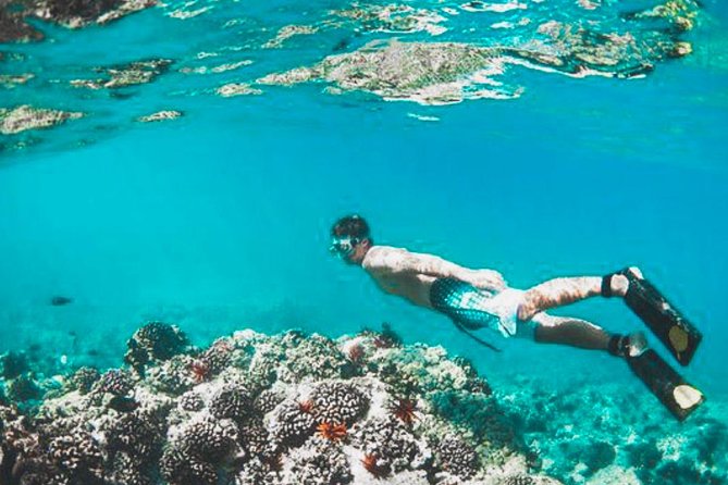 Bali Blue Lagoon Snorkeling - Lunch and Transport All Inclusive - Lunch at the seaside: included, practical, and worth planning for
