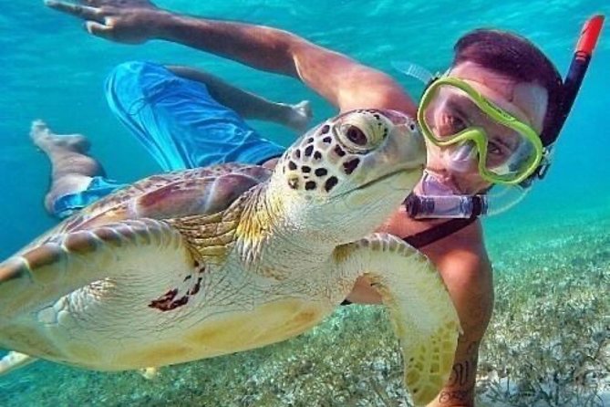 Bali Blue Lagoon Snorkeling - Lunch and Transport All Inclusive - Lempuyang Temple and the Gates of Heaven: timing, photos, and one cost check