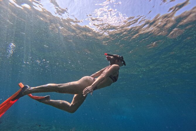 Bali Blue Lagoon Snorkeling - Lunch and Transport All Inclusive - Coffee plantation stop: how the day turns from ocean to culture