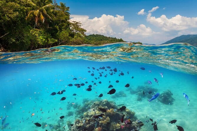 Bali Blue Lagoon Snorkeling Tour All Inclusive - Pickup in Seminyak and the neighboring areas that matter