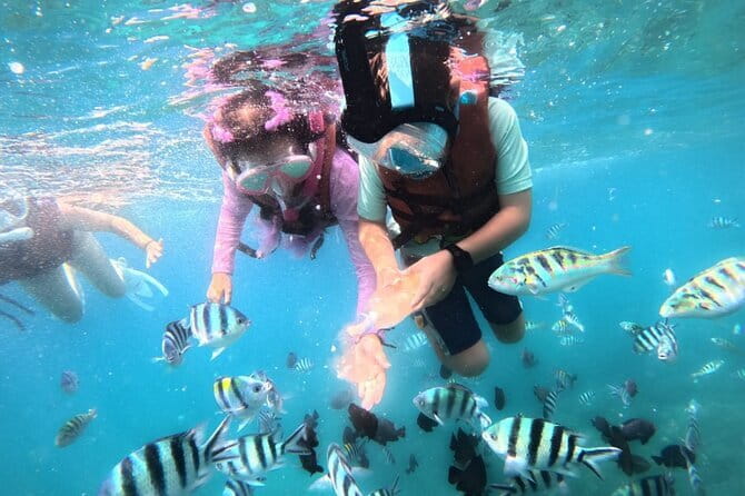 Bali Blue Lagoon Snorkeling Tour All Inclusive - Guides, comfort, and what people get right on this trip