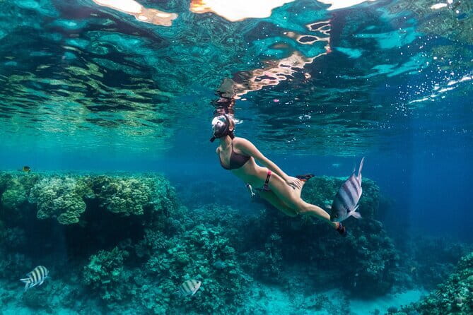 Bali Blue Lagoon Snorkeling Tour All Inclusive - Blue Lagoon snorkeling: coral, fish, and handling current
