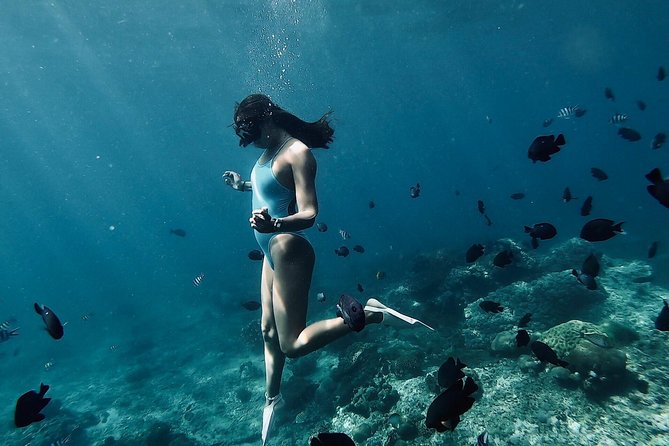 Bali Blue Lagoon Snorkeling with Optional Tour & Activities - Price and logistics: where the $12.22 value comes from