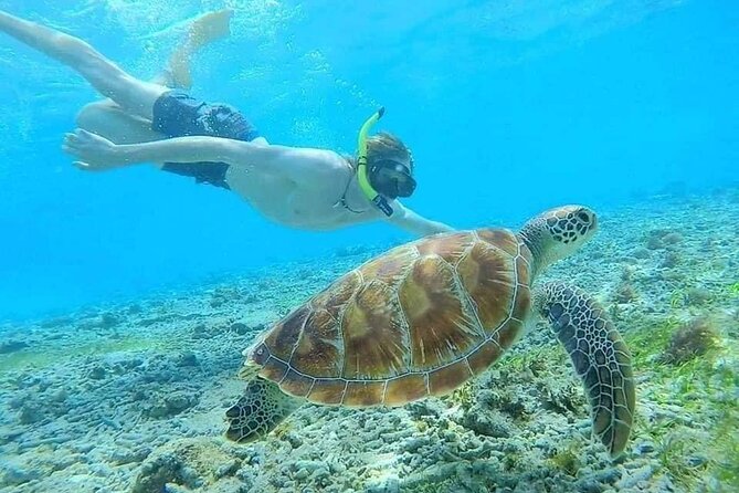 Bali Blue Lagoon Snorkeling with Private Transfer & Lunch - Equipment and how to avoid small annoyances