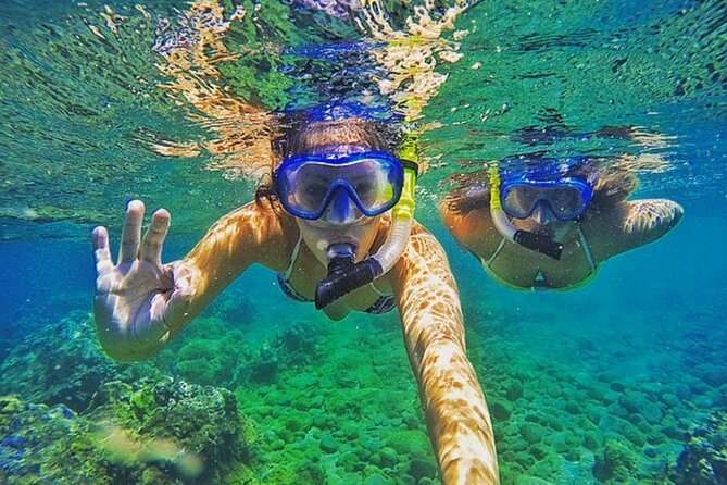 Bali Blue Lagoon Snorkeling with Private Transfer & Lunch - Marine life chances: turtles, season, and the trash question