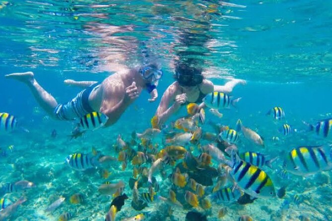 Bali Blue Lagoon Snorkeling with Private Transfer & Lunch - Private transfer and the Seminyak timing reality
