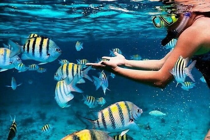 Bali Blue Lagoon Snorkeling with Waterfalls Tour - all included - Key Highlights You’ll Actually Feel During the Day