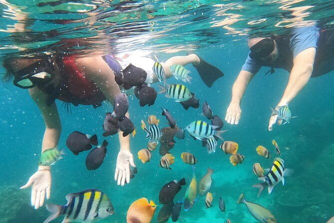 Bali Blue Lagoon Snorkeling with Waterfalls Tour - all included - Coffee Plantation Visit: A Break That Adds Culture Without Killing Time