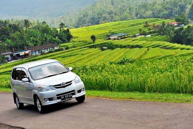 Bali Car Hire with Driver - Drivers and communication: what makes this service feel smooth