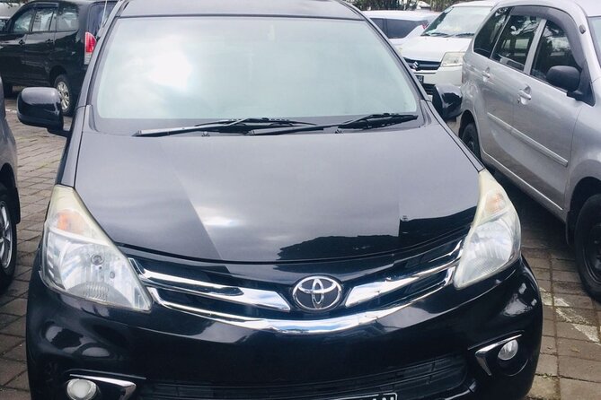 Bali Car Hire with Driver - Who this Bali car hire with driver is best for