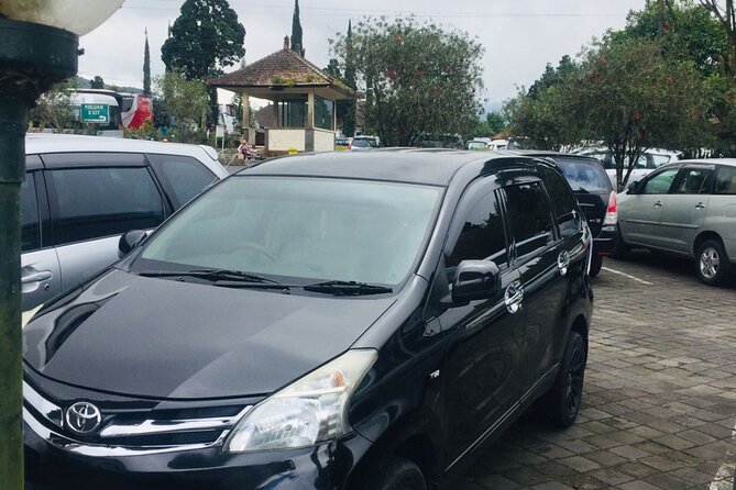 Bali Car Hire with Driver - Should you book this private driver from Ubud?