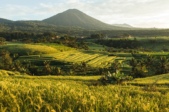 Bali Charm: Full-Day Bedugul and Tanah Lot Tour (UNESCO) - All Inclusive Tickets - Jatiluwih rice terraces (UNESCO): how to see the system