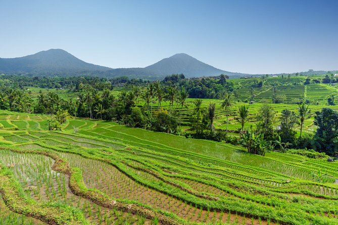 Bali Charm: Full-Day Bedugul and Tanah Lot Tour (UNESCO) - All Inclusive Tickets - Tanah Lot by the sea: floating temple and tide awareness