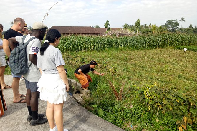Bali Cooking Class and Ubud Sightseeing Tour - Canting Bali cooking class, you make the menu yourself