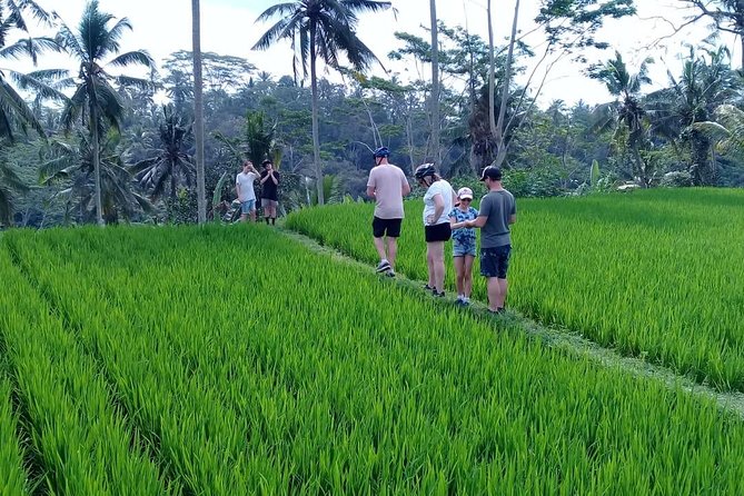 Bali Countryside Cycling Adventure - Key highlights worth planning around