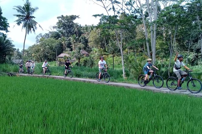 Bali Countryside Cycling Adventure - Coffee plantation tasting: a quick culture bonus