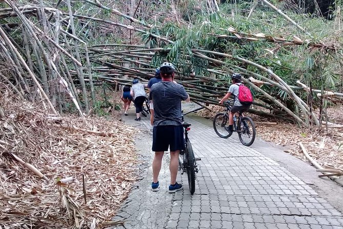 Bali Countryside Cycling Adventure - Penglipuran Bamboo Forest: 7.5 hectares of green calm