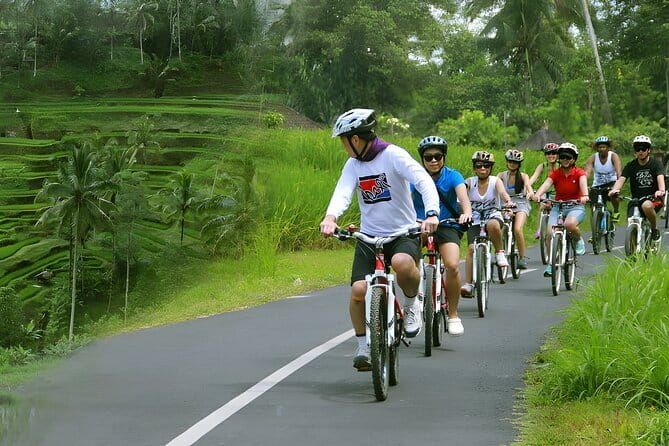 Bali Countryside Eco Cycling Tour include Lunch - Coffee and herb tastings: free sampling, plus a gentle reality about shopping