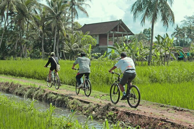 Bali Countryside Eco Cycling Tour include Lunch - Stop 1: Bali Budaya Cultural Village and Spiritual Journey