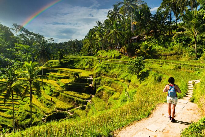 Bali Cultural Experience - A Full Day of Ubud Culture From Kuta