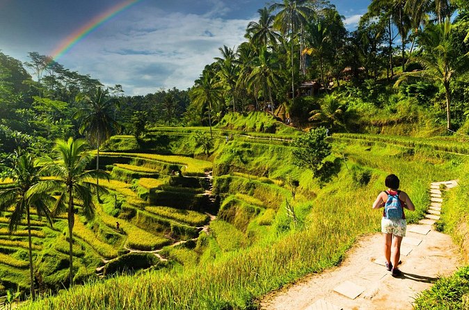 Bali Cultural Experience - Ubud Street Market: Craft Shopping Without the Rush