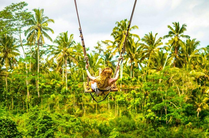 Bali Cultural Experience - Where This Tour Shines, and Where It Might Not