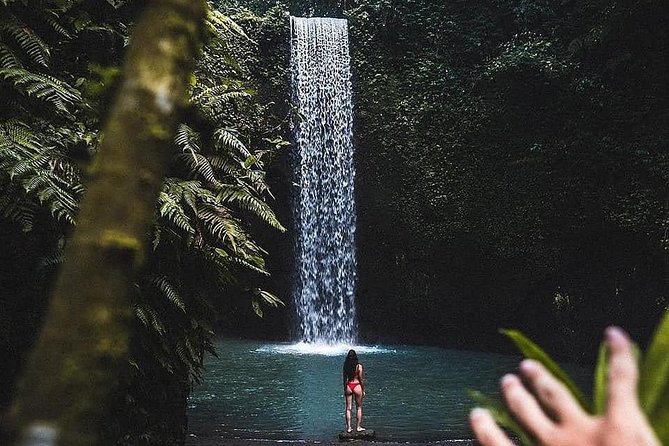 Bali Culture and Choose Your Bali Tour Route in Bali with Bali driver-Free WIFI - Tegenungan Waterfall: nature time without a full hike day