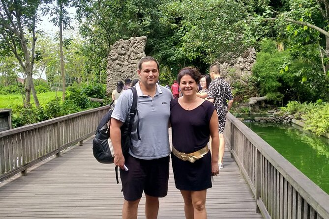 Bali Culture And Spring Temple Private Guided Tour - Tegalalang Rice Terrace: photos, lunch, and the swing option