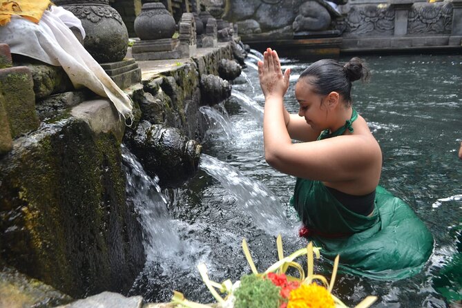 Bali Culture And Spring Temple Private Guided Tour - Your day plan: a tight loop built for Ubud and beyond