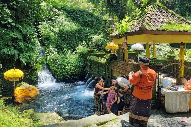 Bali Customizable Multi Language Tour with Driver-Guide - Key Highlights You’ll Feel Right Away