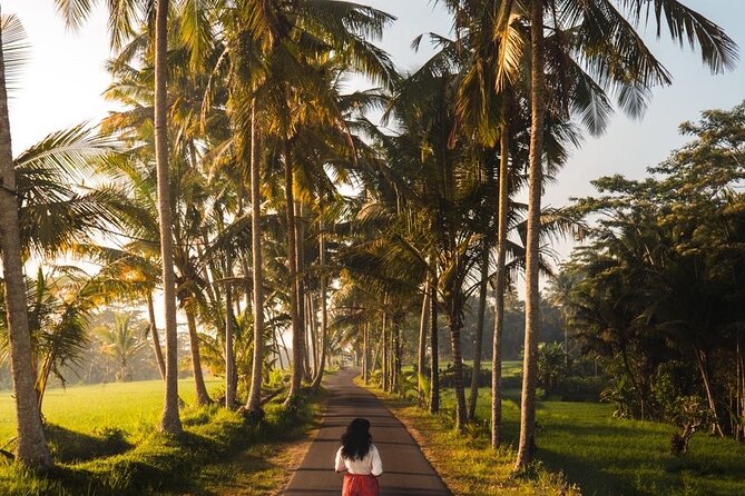 Bali Customized Tour Private Car and Driver - Final Call: Should You Book This Private Bali Car Tour?