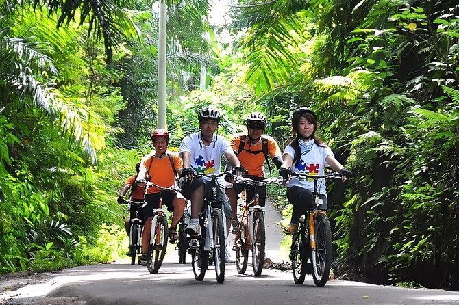 Bali Cycling and Ubud Waterfall Tour - Seminyak logistics: comfort, timing, and driver-guide help