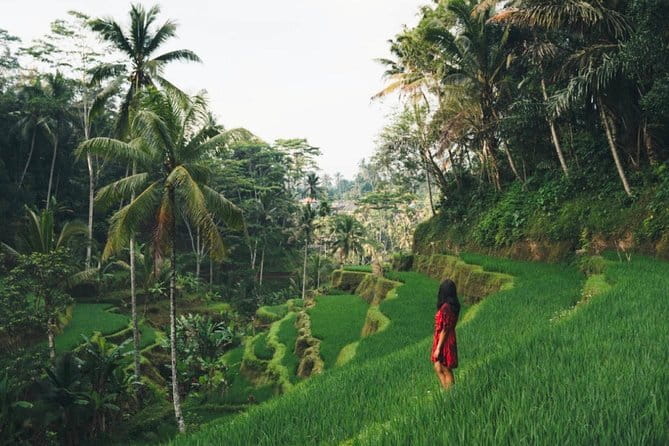 Bali day trip : Batur Sunrise Hike and Hot Spring All inclusive - All-inclusive value: what your money is buying beyond the headline