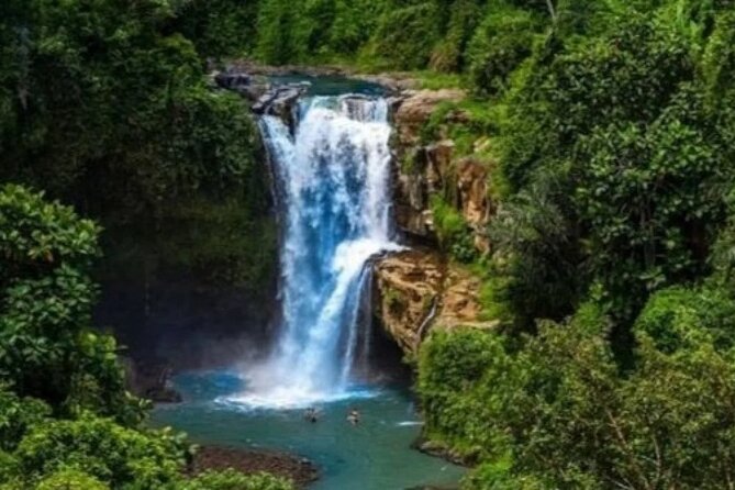 Bali Day Trip to Ubud Highlight Tour and Tanah Lot Temple - Lunch, water, and the small comfort wins in Bali heat