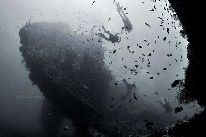 Bali Diving Day Trip-Manta Point/Tulamben Shipwreck-Fun Dive - USAT Liberty Meets Manta Point: Why This Day Works for First Timers
