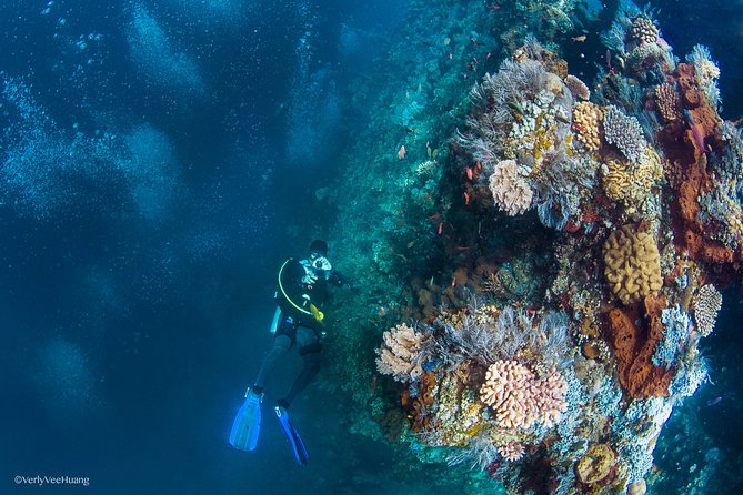 Bali Diving Day Trip-Manta Point/Tulamben Shipwreck-Fun Dive - Getting There Right: Pickup, Sanur Check-In, and Small Group Comfort