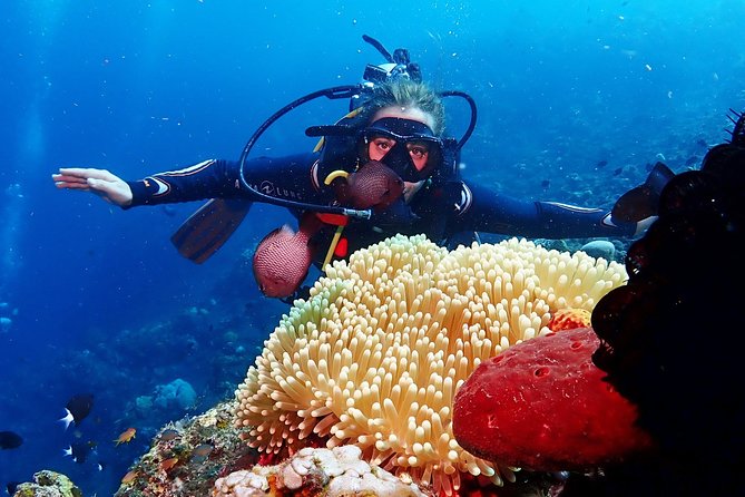 Bali Diving for Beginners: Tulamben Liberty Wreck - USS Liberty wreck: what to expect and how to enjoy it safely