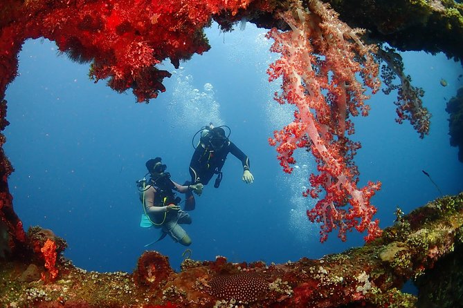 Bali Diving for Beginners: Tulamben Liberty Wreck - Transfers, food, and the small comforts that matter for beginners