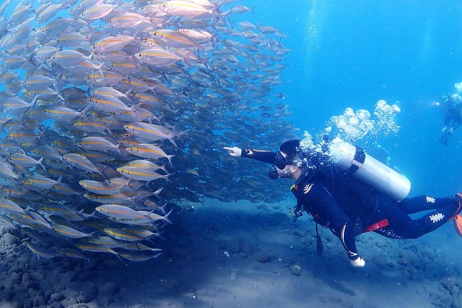 Bali Diving for Beginners: Tulamben Liberty Wreck - Who this is best for, and who should skip it