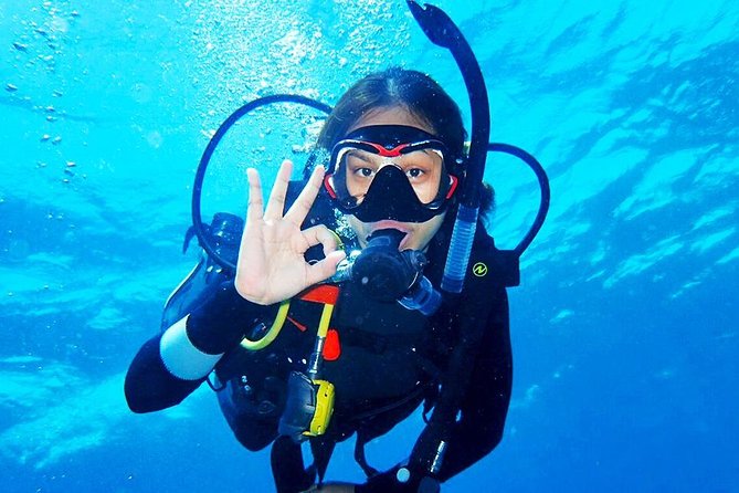 Bali Diving for Beginners: Tulamben Liberty Wreck - Coral Garden or Drop Off: your warm-up stop underwater