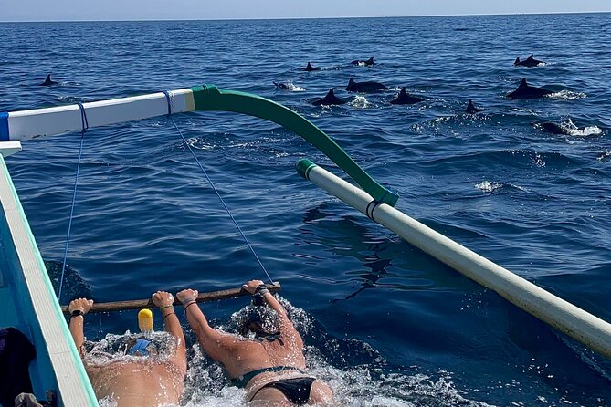 Bali : Dolphin Sunrise Experience Tour Private All Inclusive - Key points that matter