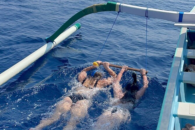 Bali : Dolphin Sunrise Experience Tour Private All Inclusive - 4:30 am pickup from Ubud, and how to prepare